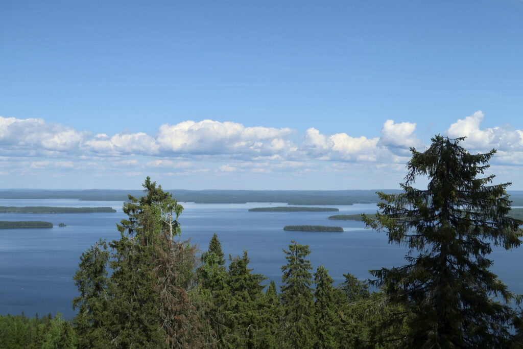 Kesäinen järvimaisema Kolilla. Edustalla näkyy puita. Taustalla sininen järvi, jossa saaria sekä sininen taivas, jossa pilviä.
