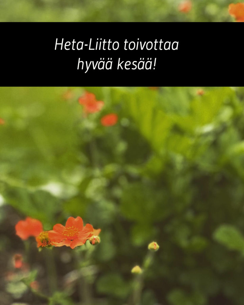 Kuvassa on teksti "Heta-Liitto toivottaa hyvää kesää" ja taustalla on vihreää kasvillisuutta, joka näkyy sumuisasti, sekä etualalla pari oranssia kukkaa.