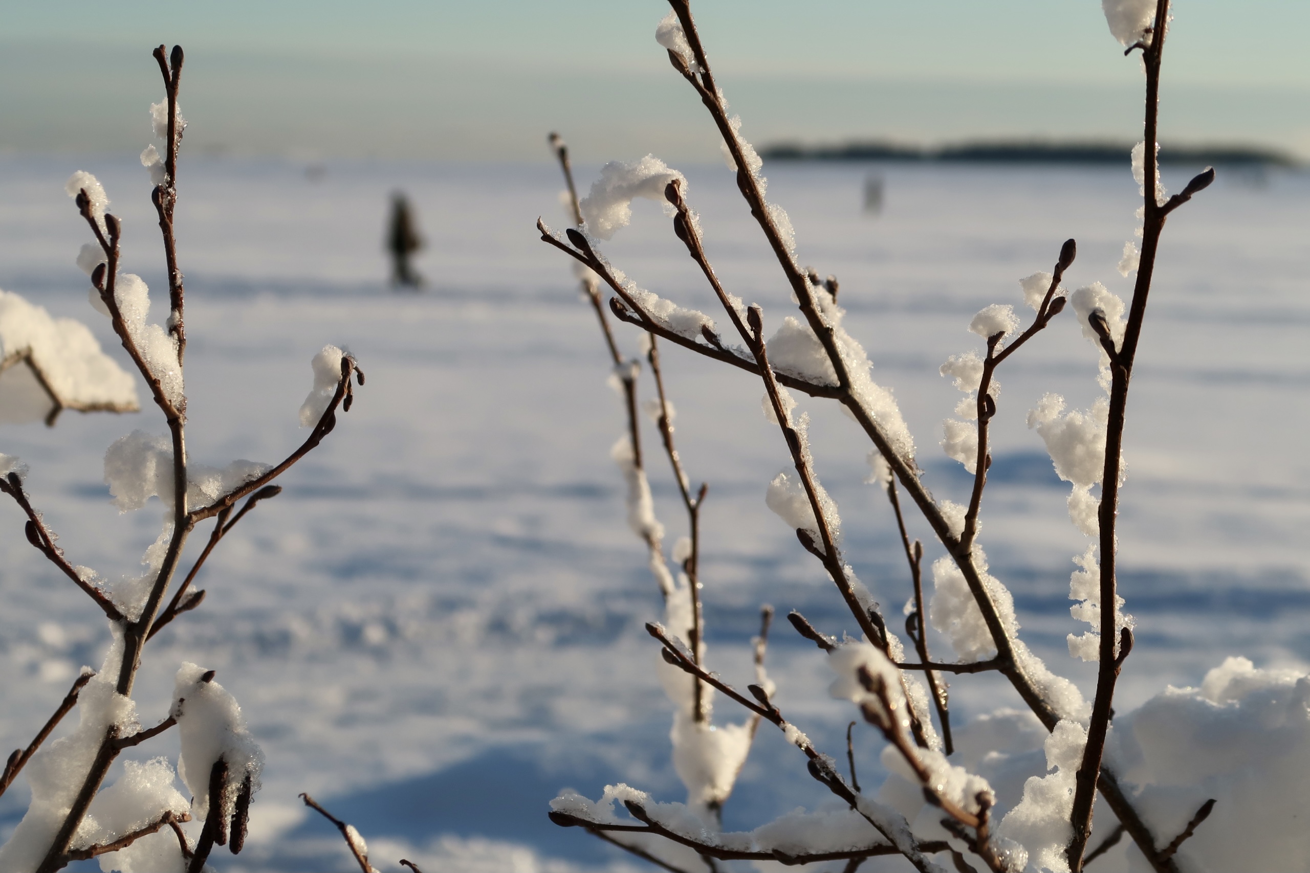 Luminen maisema meren jäällä, taustalla kävelee ihmisiä.