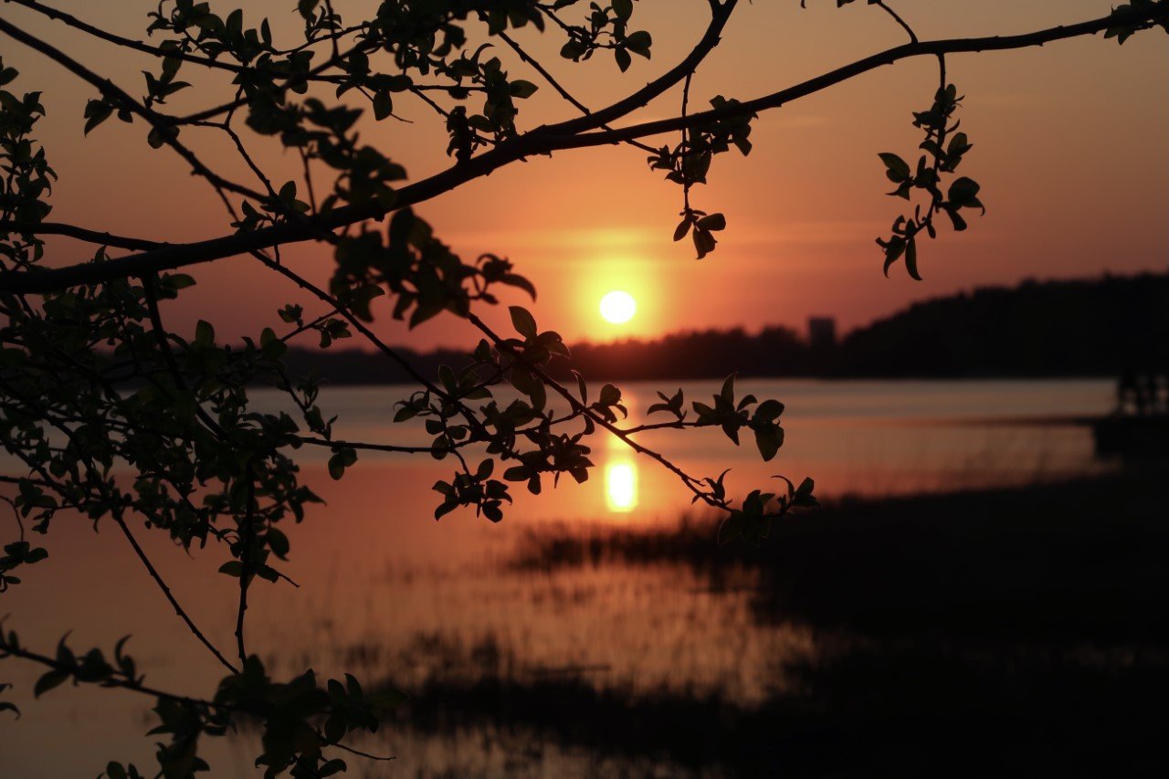 auringonlasku Munkkiniemessä